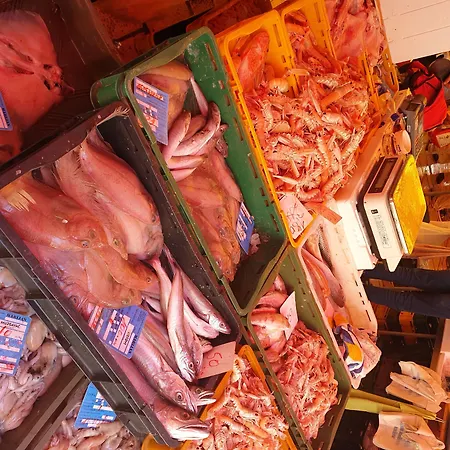 Pylon Гостевой дом Сплит